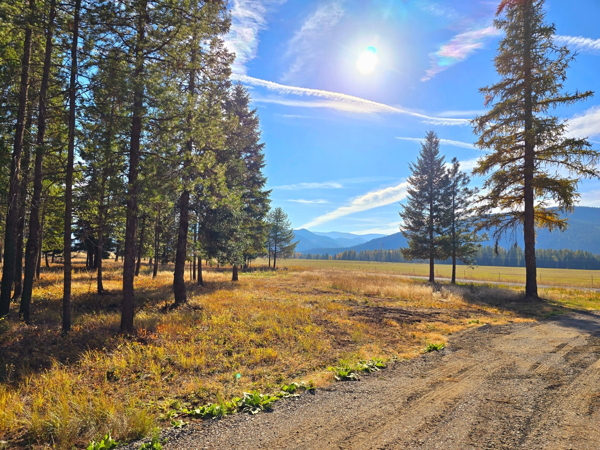 Property Photo:  19 Faro Lane  MT 59874 