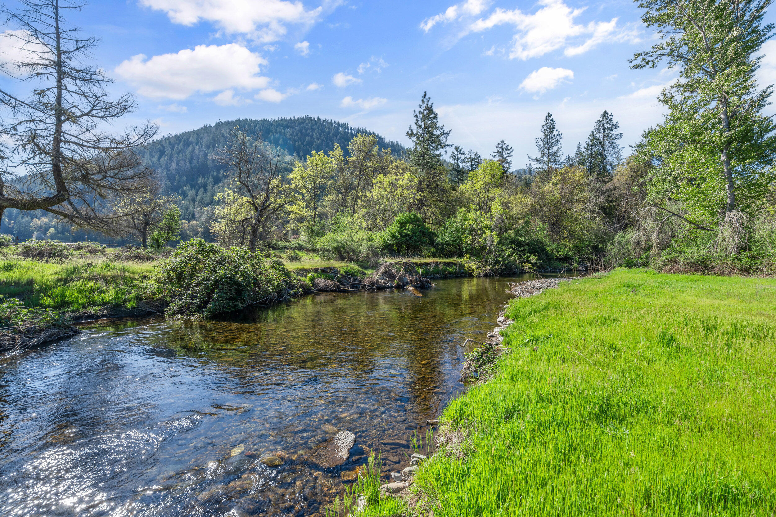 Property Photo: 233 Thompson Creek Road OR 97530