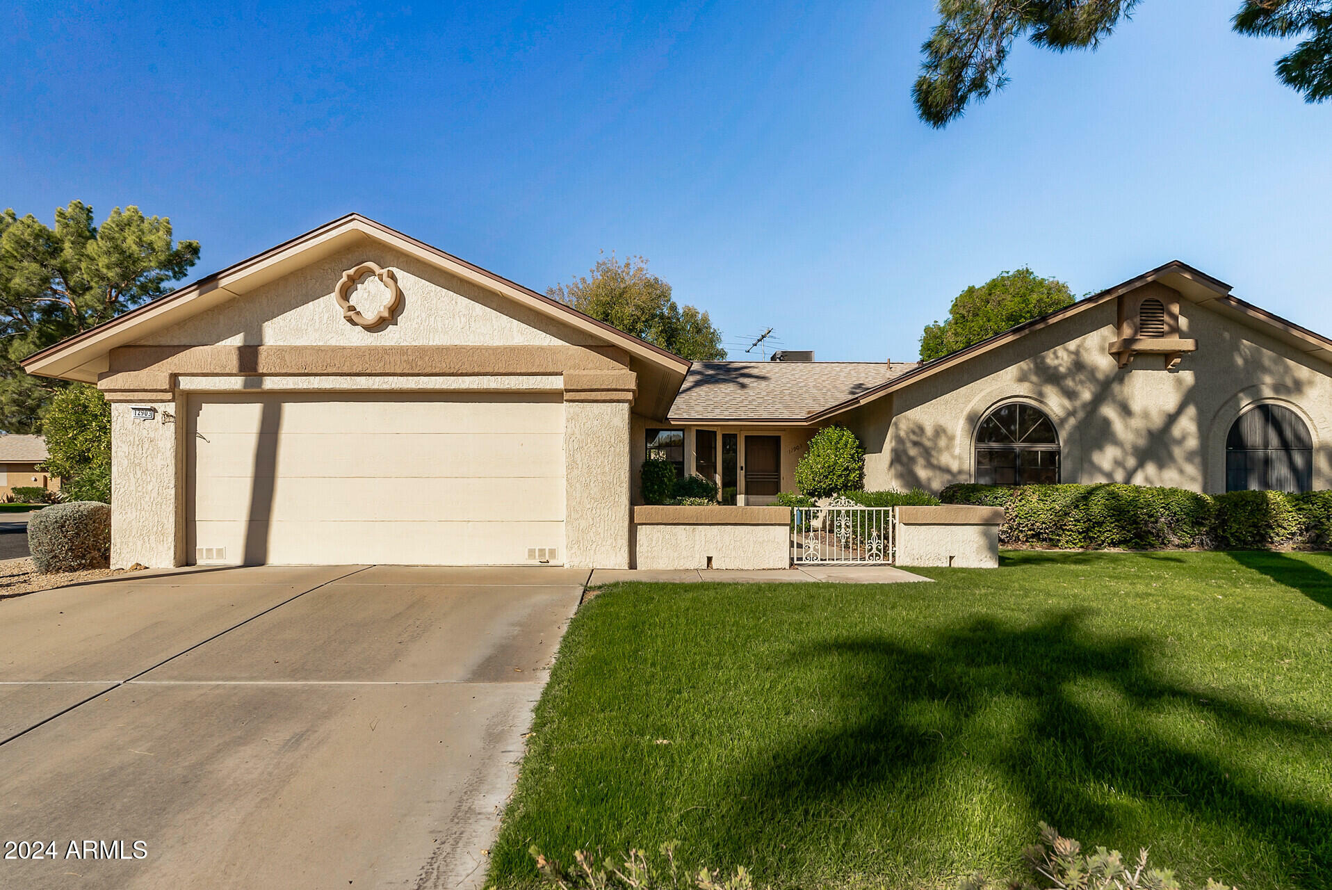 Property Photo:  12903 W Blue Sky Drive  AZ 85375 