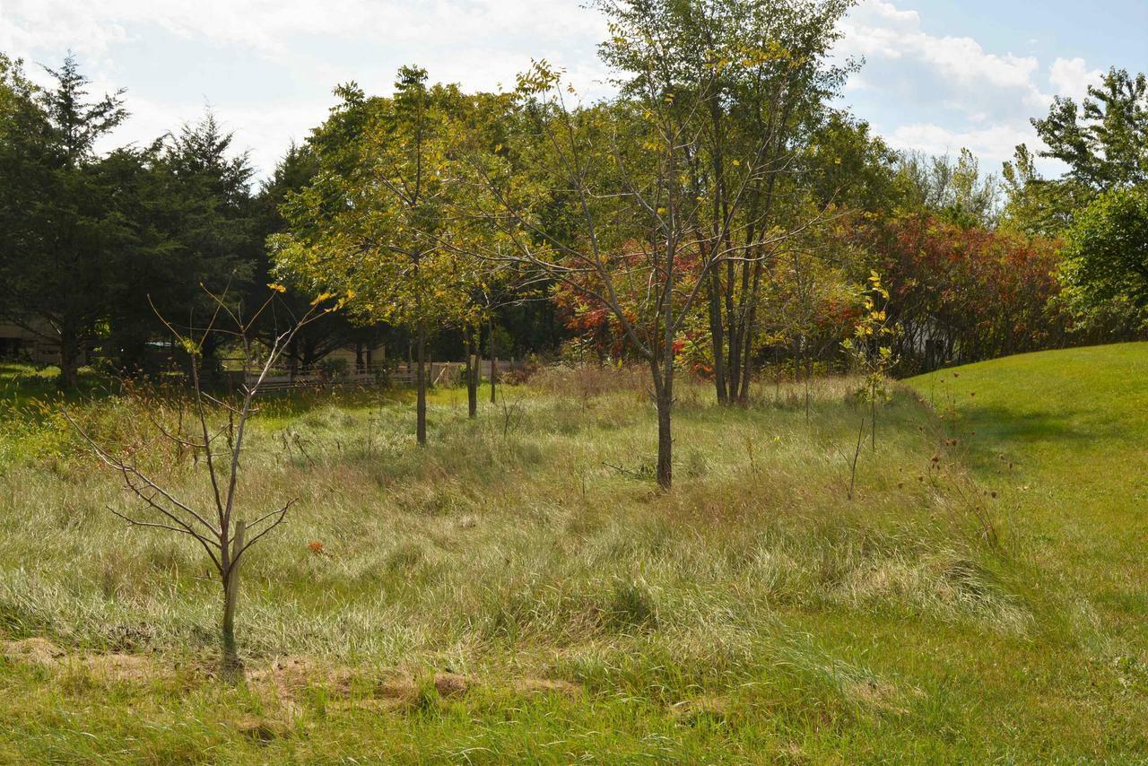 Property Photo:  Lot 99 Westmor Street  WI 53588 