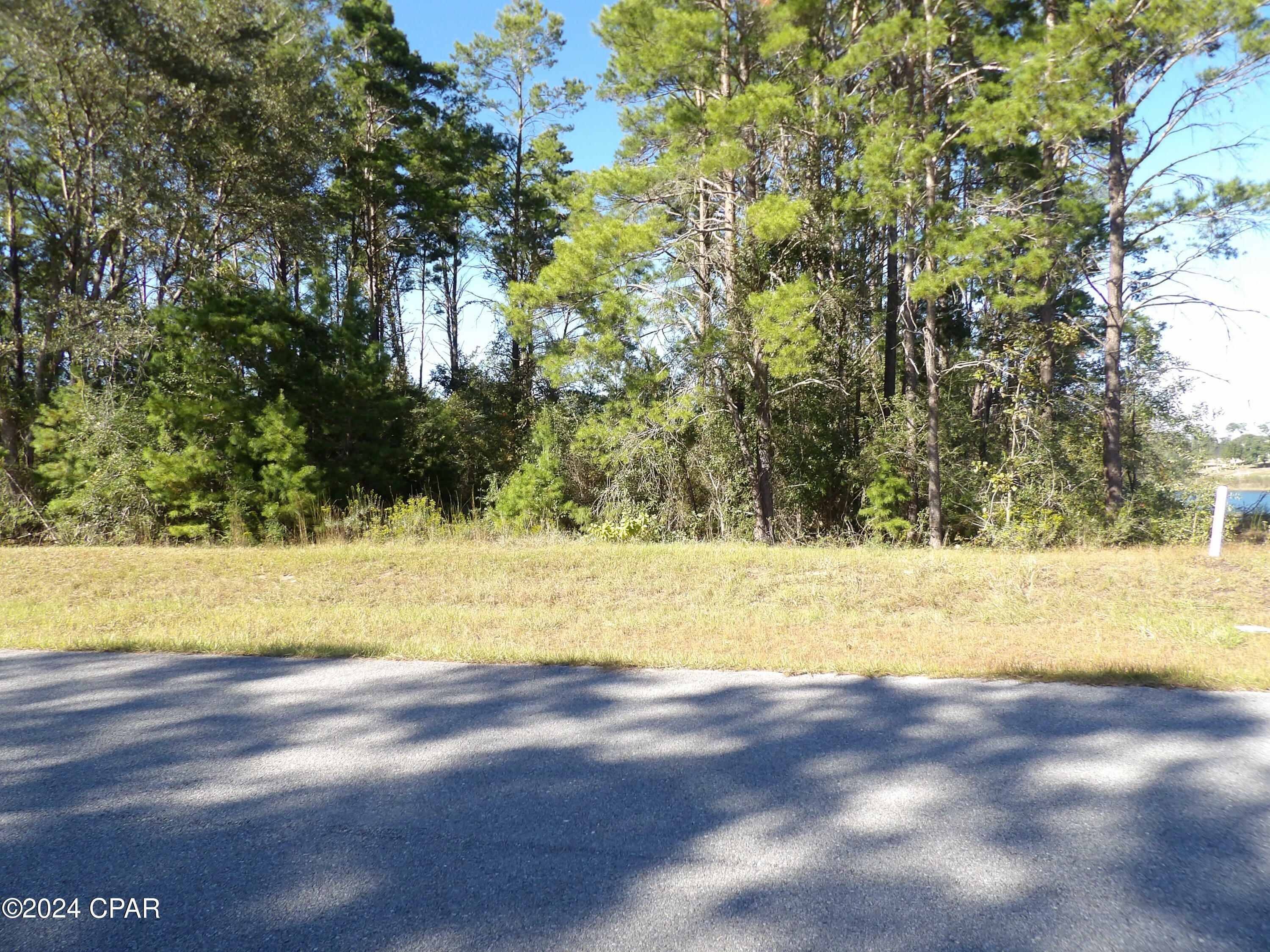 Property Photo:  14725 Bream Pond Drive  FL 32409 