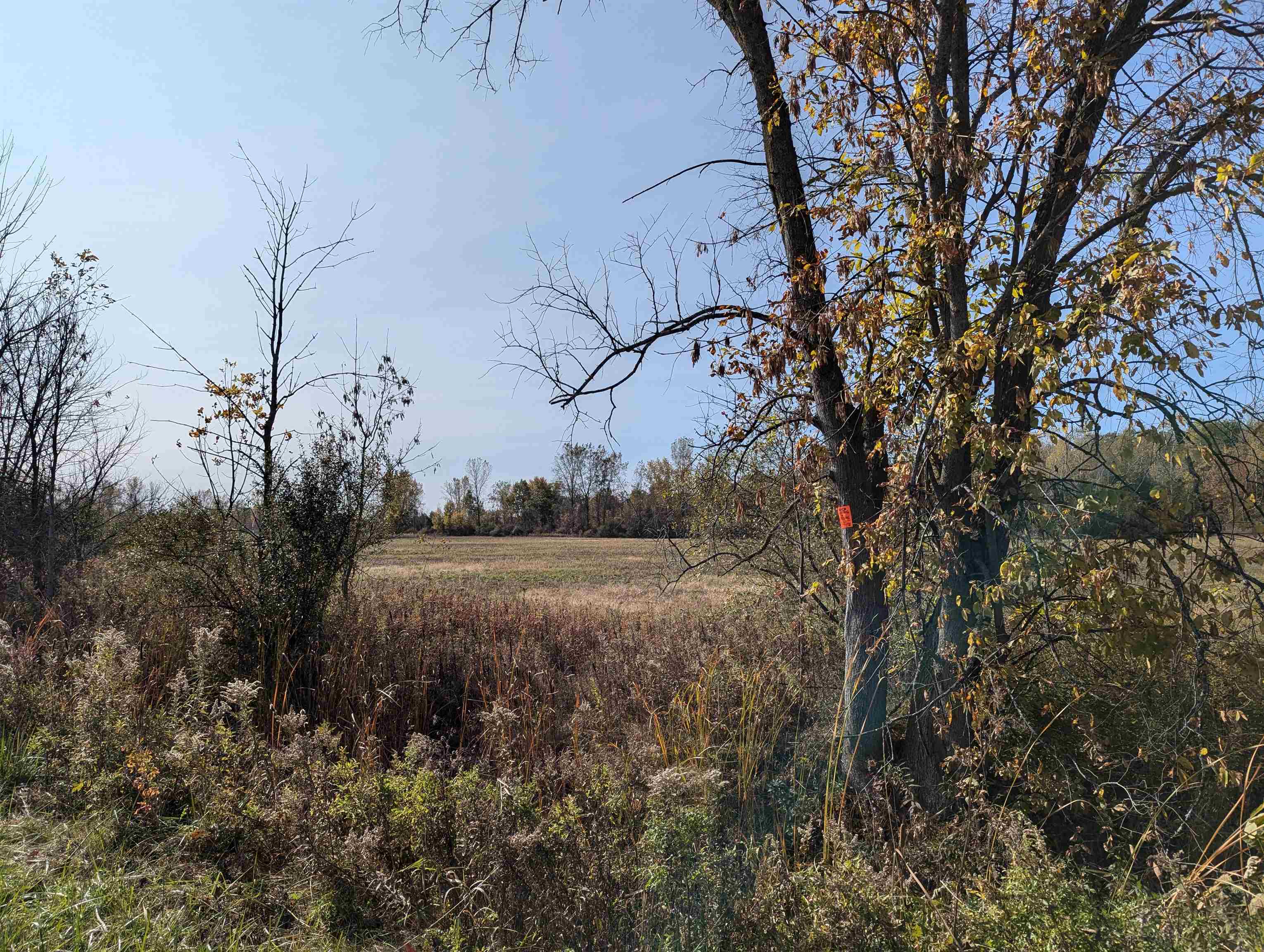 Property Photo:  N/A Tonkey Road  MI 48703 