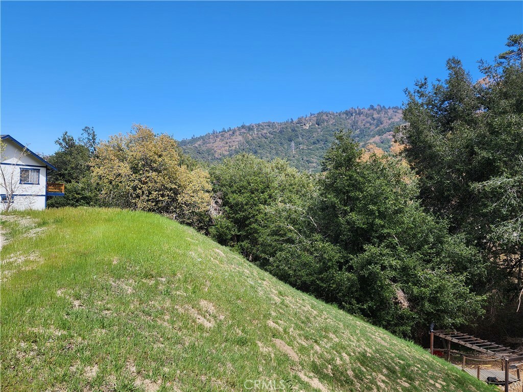 327 Davos Drive  Crestline CA 92325 photo