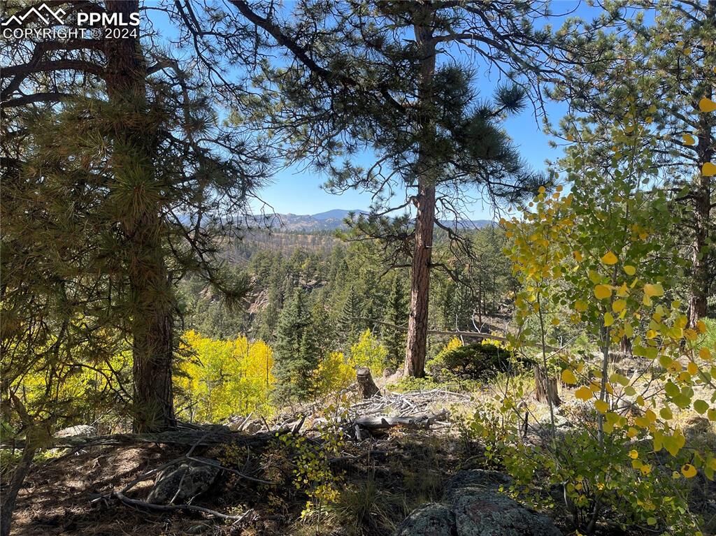 Property Photo: 3203 Highland Meadows Drive CO 80816