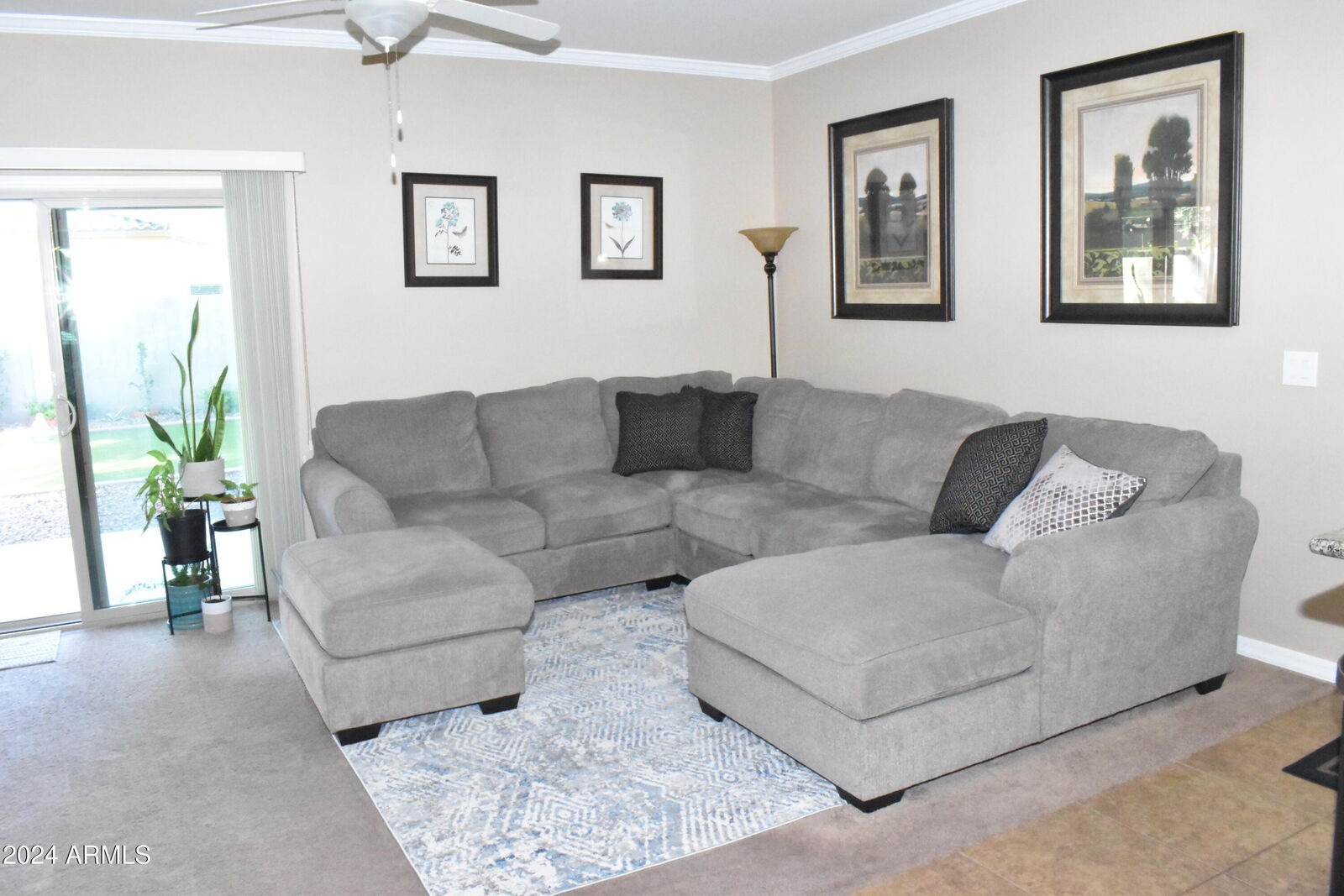 Property Photo:  901 W Witt Avenue  AZ 85140 