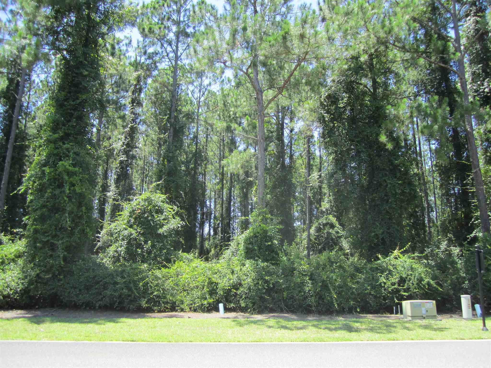 Property Photo:  V/L 81 Cumberland Harbour Boulevard  GA 31558 