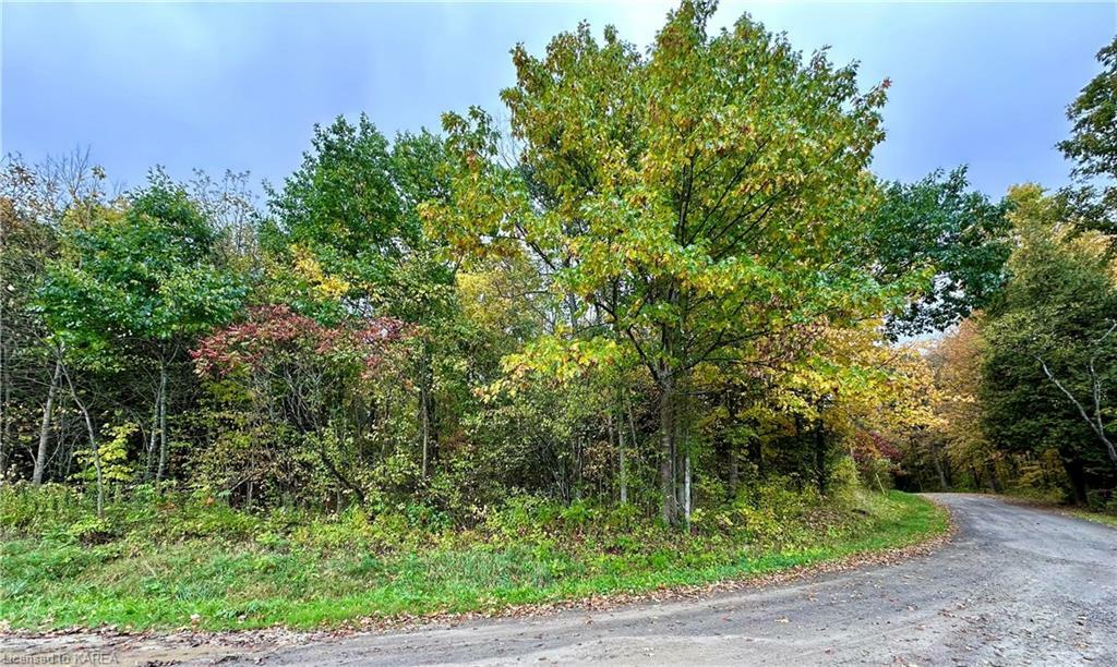 Property Photo:  Lot 1 Murphy Road  ON K0K 3G0 