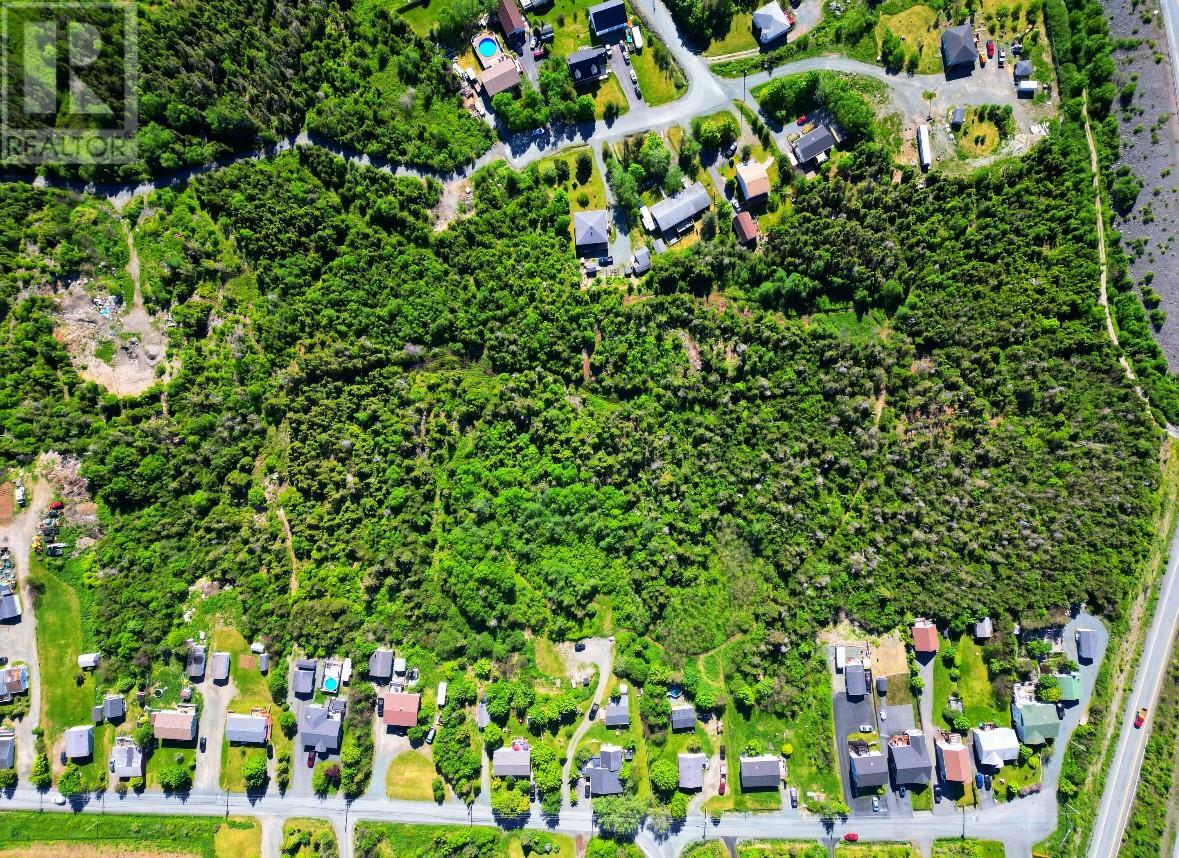 Property Photo:  221 Peachytown Road  NL A1X 7C6 