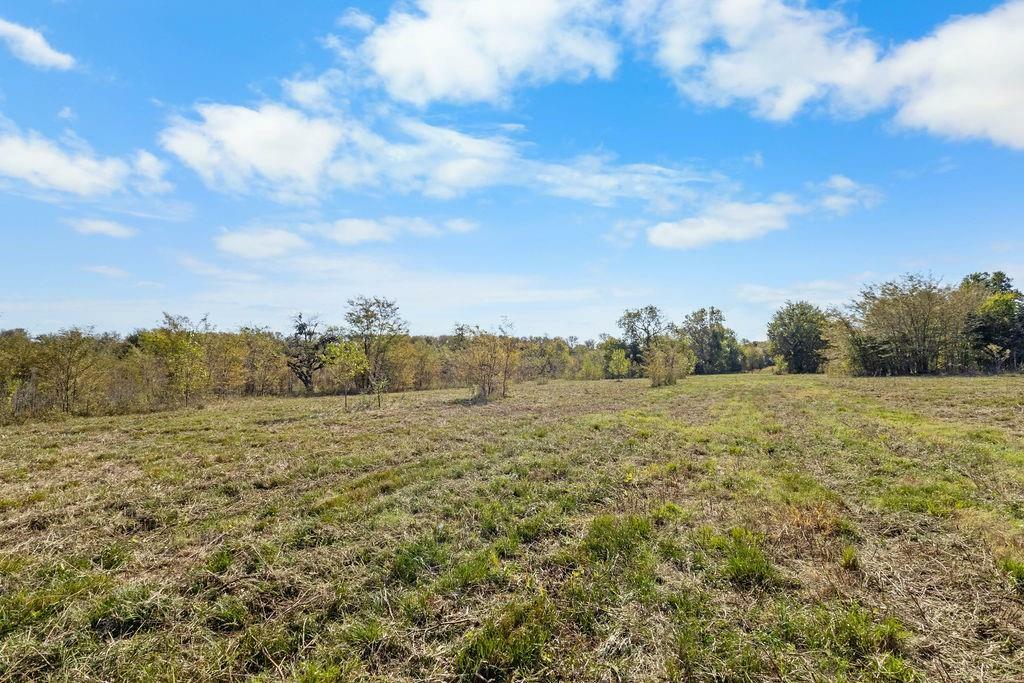 Property Photo:  2353 County Road 4225  TX 75441 