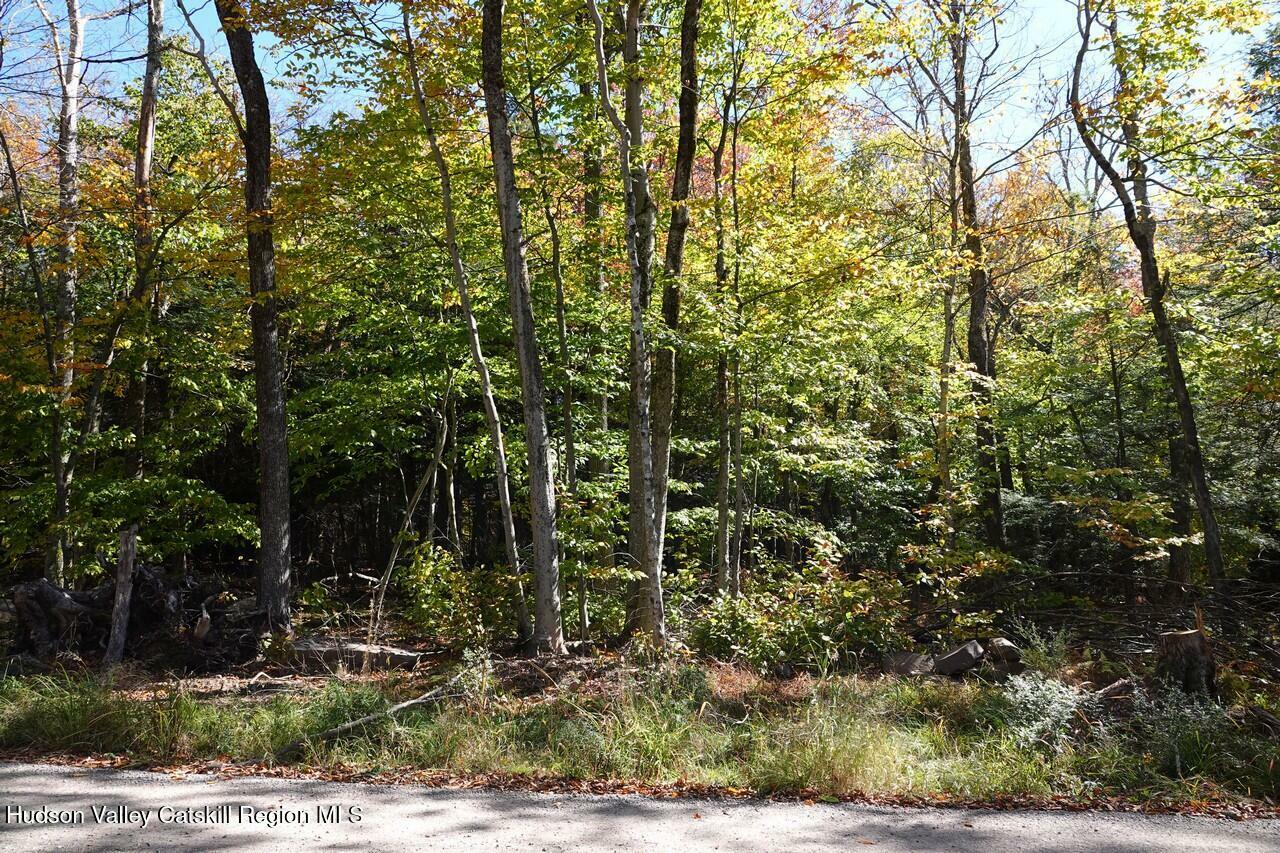 Property Photo:  27 Repucci Forest  NY 12427 