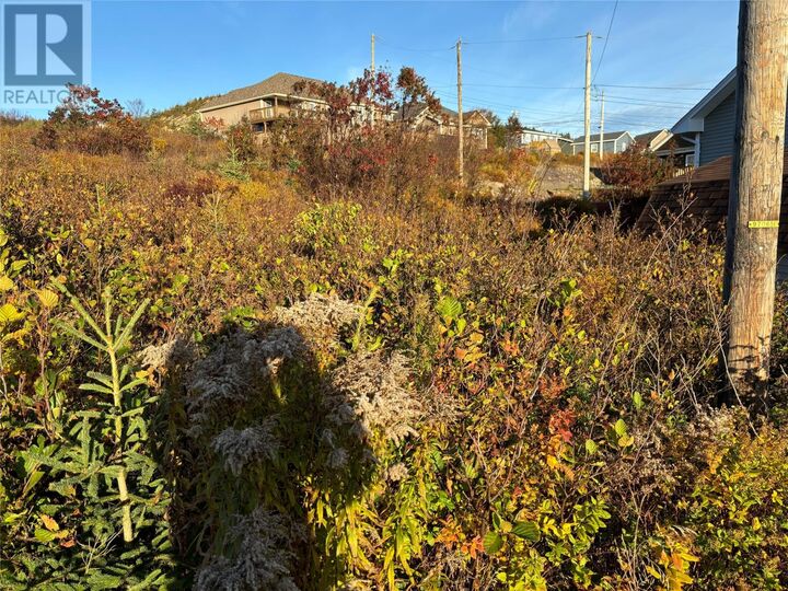 Property Photo:  47 Badcock Boulevard  NL A0A 1G0 