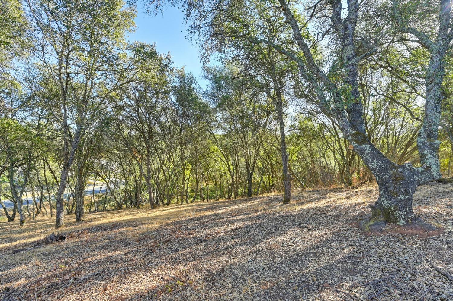 Property Photo:  6084 Western Sierra Way  CA 95762 