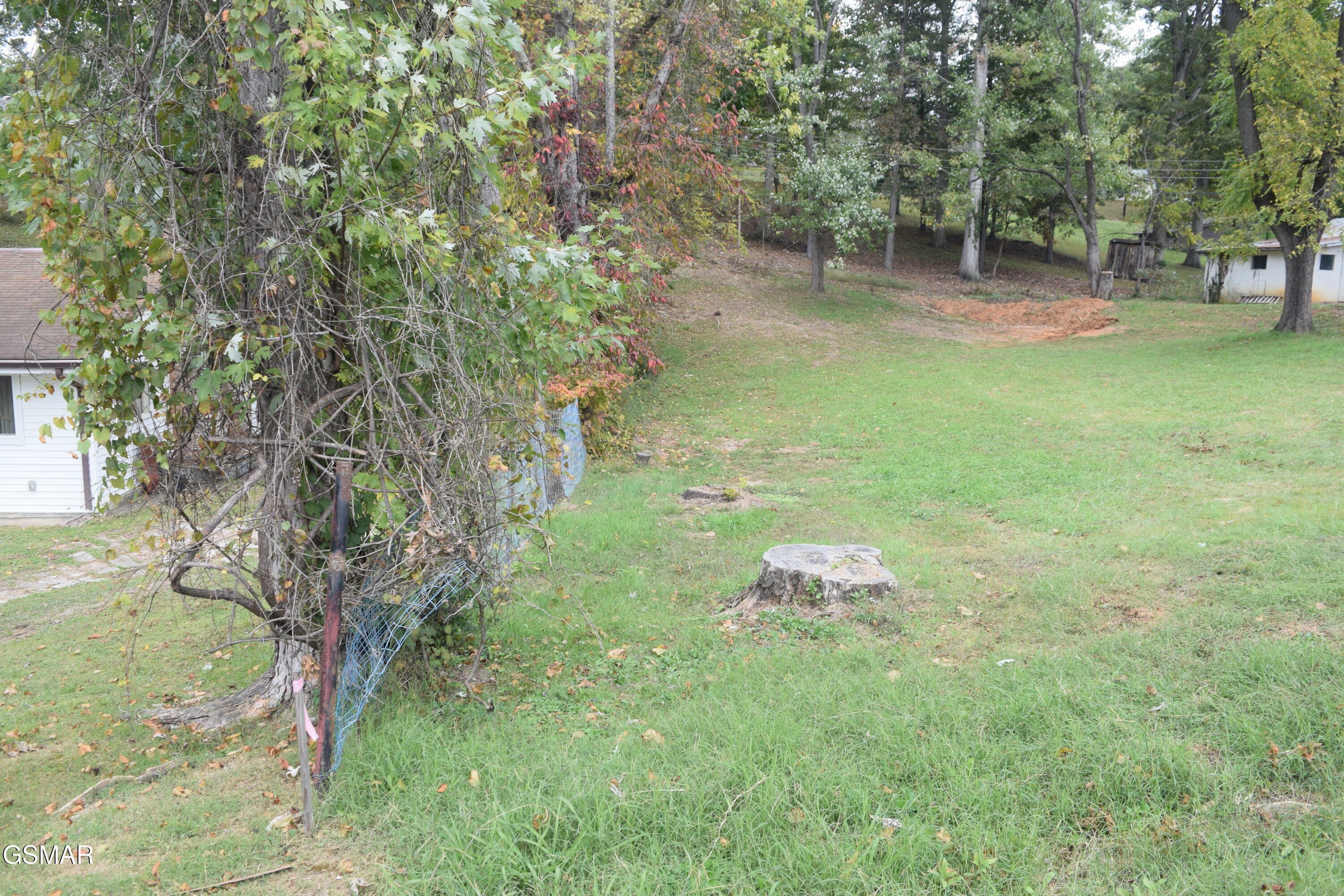 Property Photo:  Lot 9 &Amp 10 Mimosa Street  TN 37645 