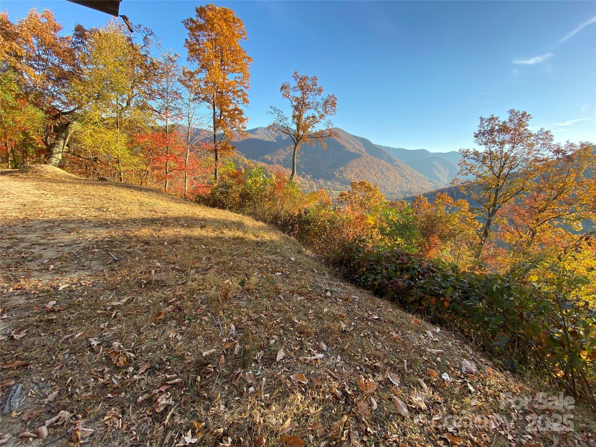 Property Photo: 40 Cougar Lane 13,14,15,16 NC 28751
