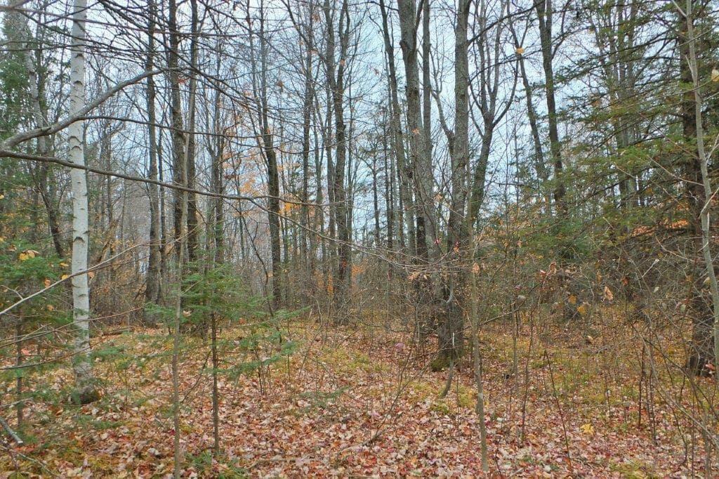 Property Photo:  000 Fischer Creek Road  WI 54490 