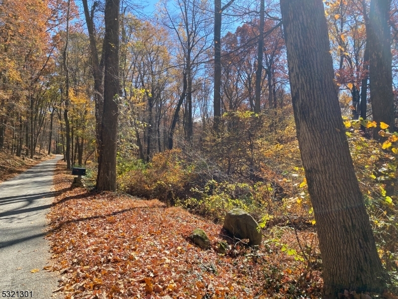 Property Photo:  0 Beatty Road  NJ 07865 