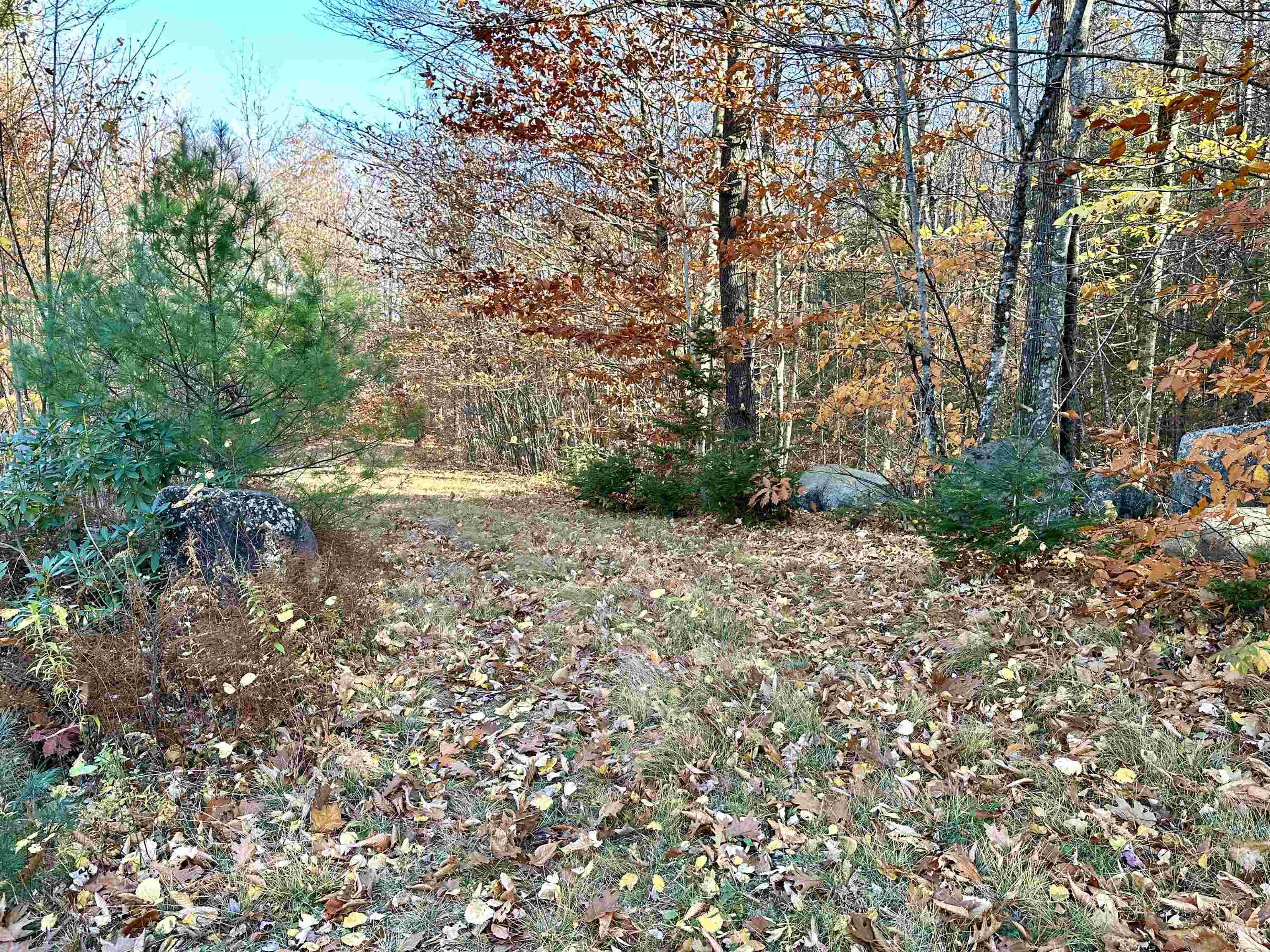 Property Photo:  52 Danbury Woods Road  NH 03230 