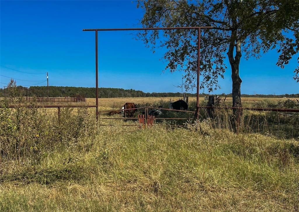 Property Photo:  Tbd Vz County Road 4111  TX 75103 