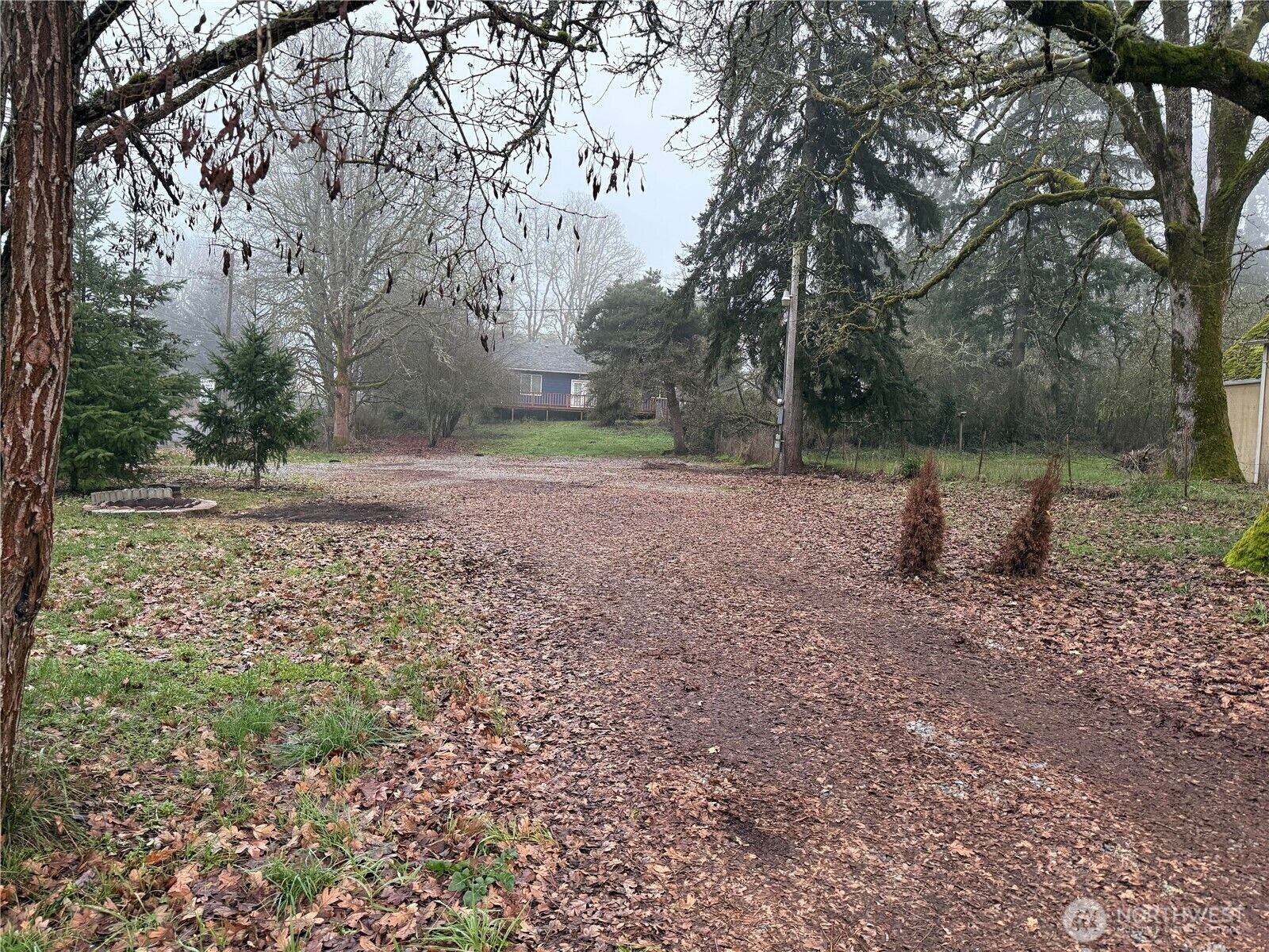 Property Photo:  28003  Academy Street S  WA 98580 