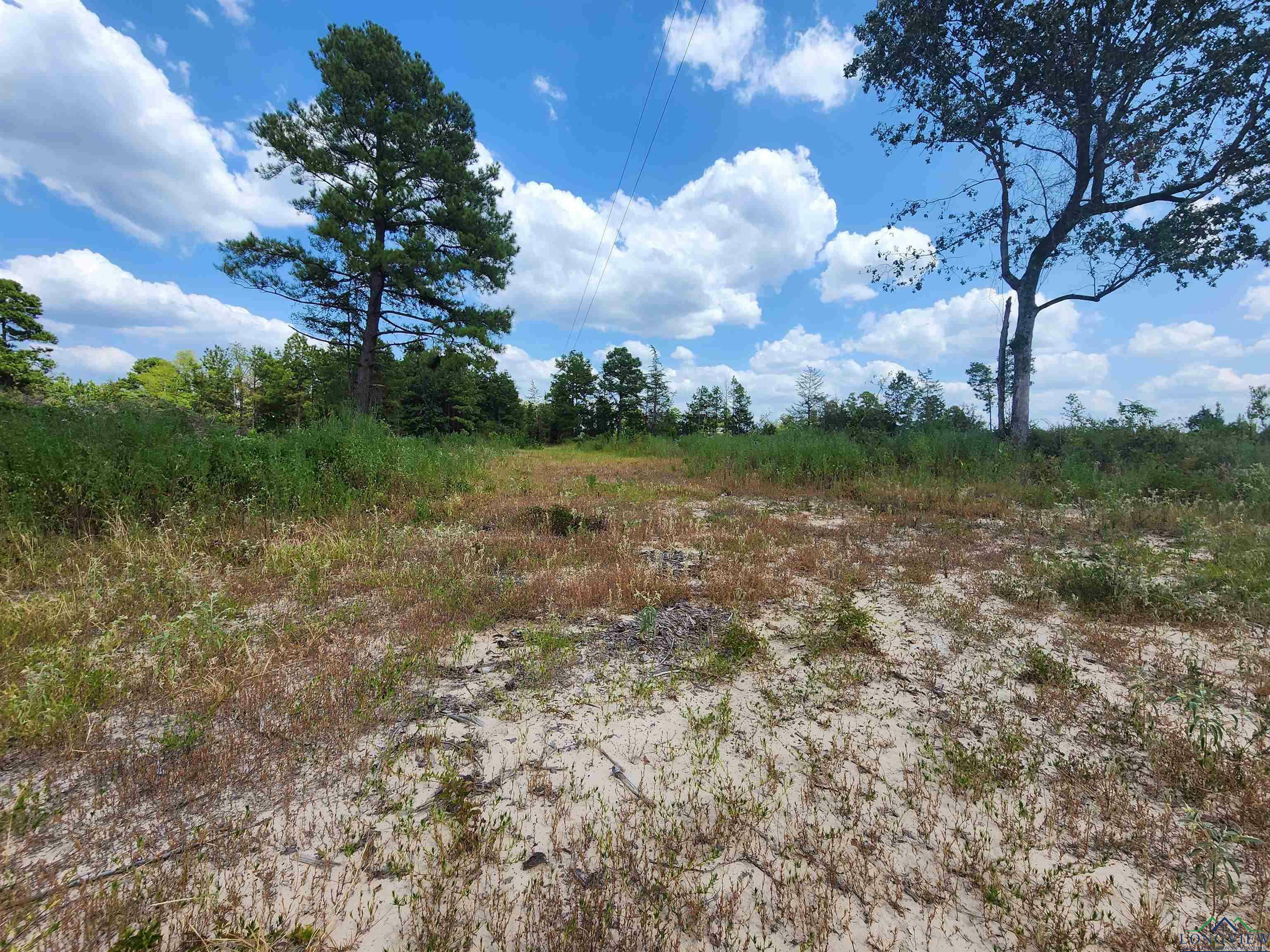 Property Photo:  Tbd Cr 1762 (16.5 Acres)  TX 75657 