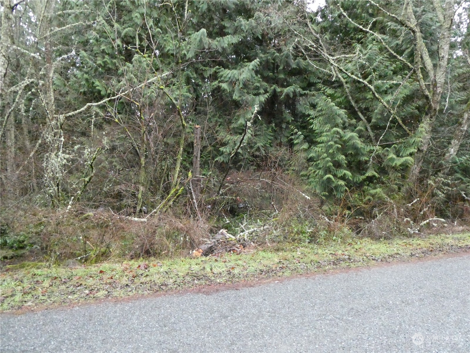 Property Photo:  7034 Holiday Boulevard  WA 98221 