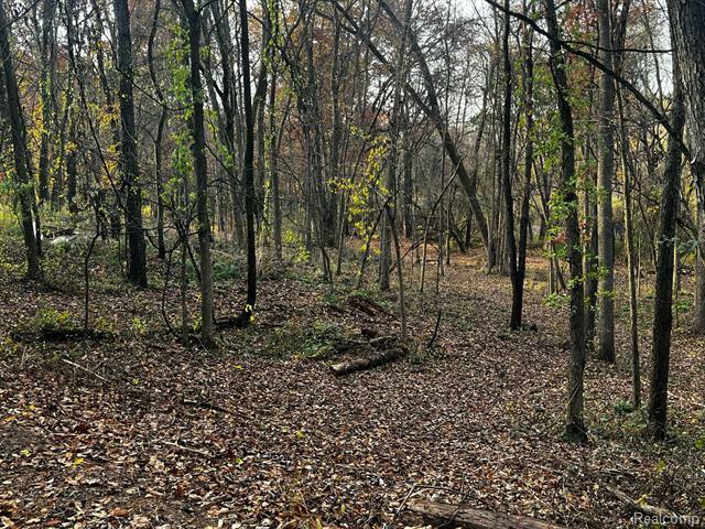 Property Photo: 00 Ripple Way Road MI 48383