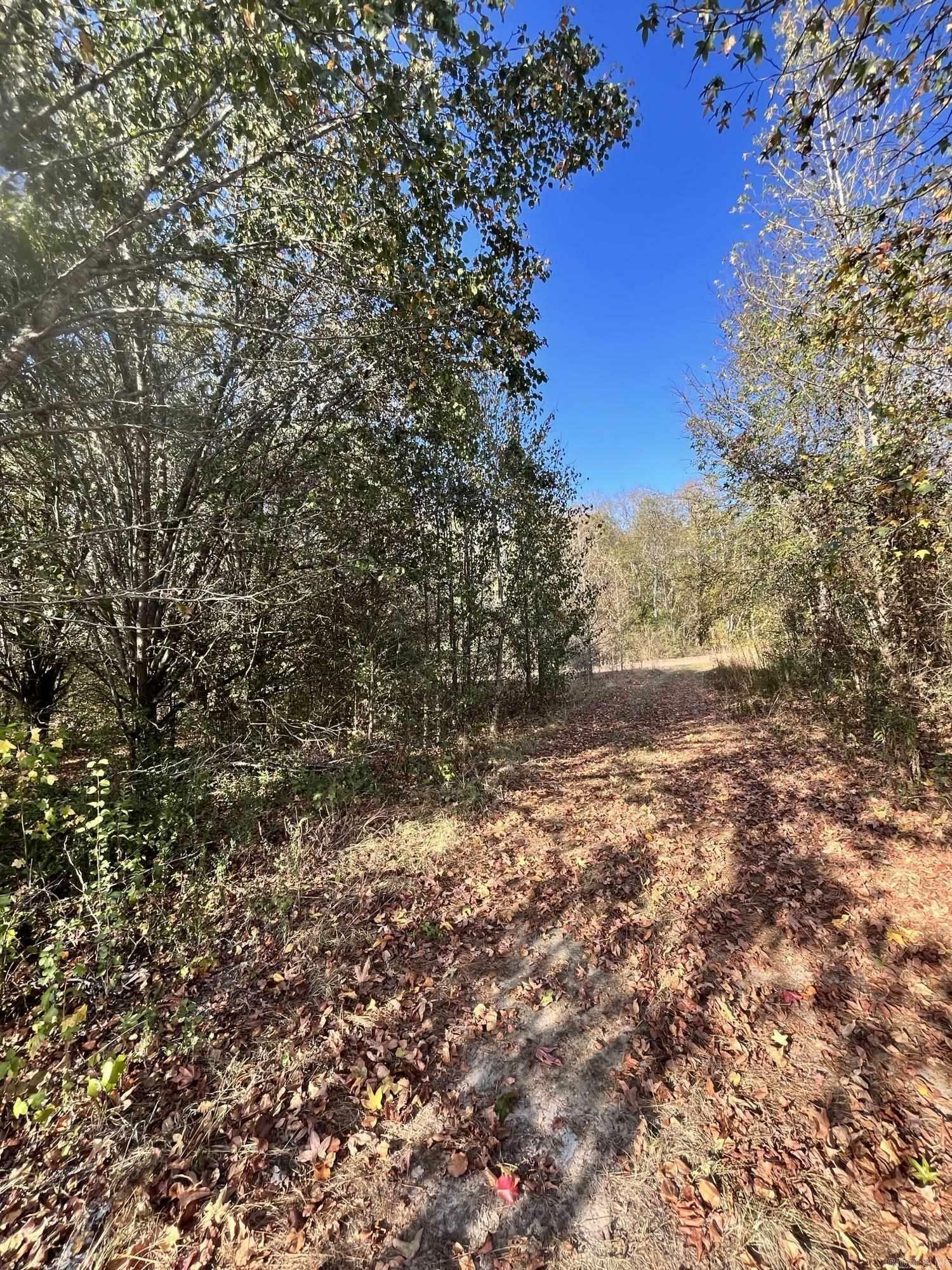 Property Photo:  175 Barbershop Trail  AR 71913 