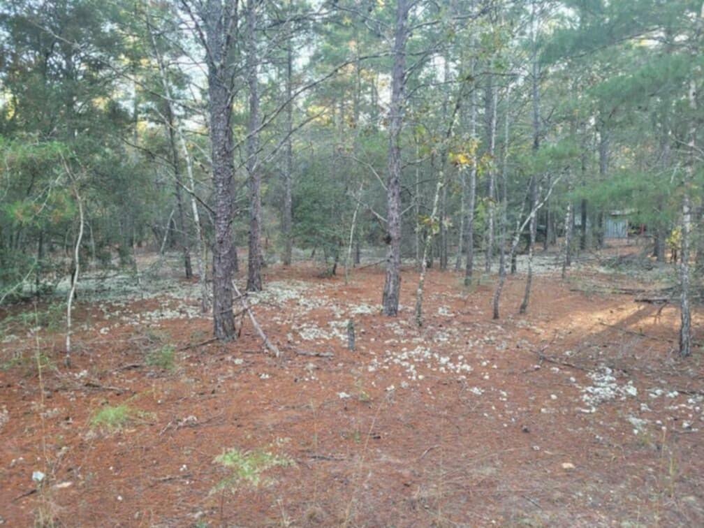 Lot 27 Blk 36 E. Dogwood East Avenue  Defuniak Springs FL 32433 photo