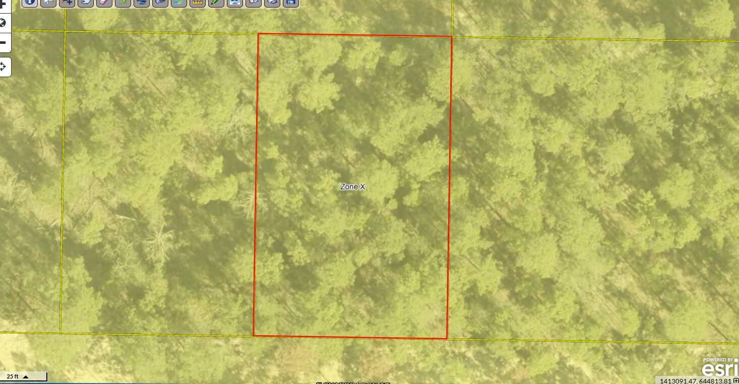 Property Photo:  Lot 12 Blk 83 Snapdragon East Street  FL 32433 