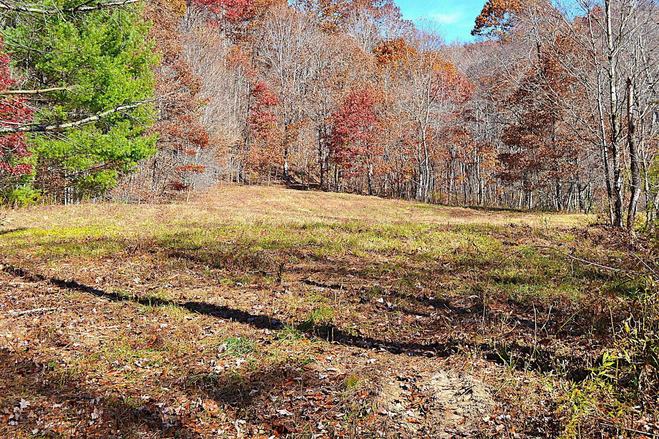 Property Photo:  602 Carr-Summerfield Rd  WV 25962 