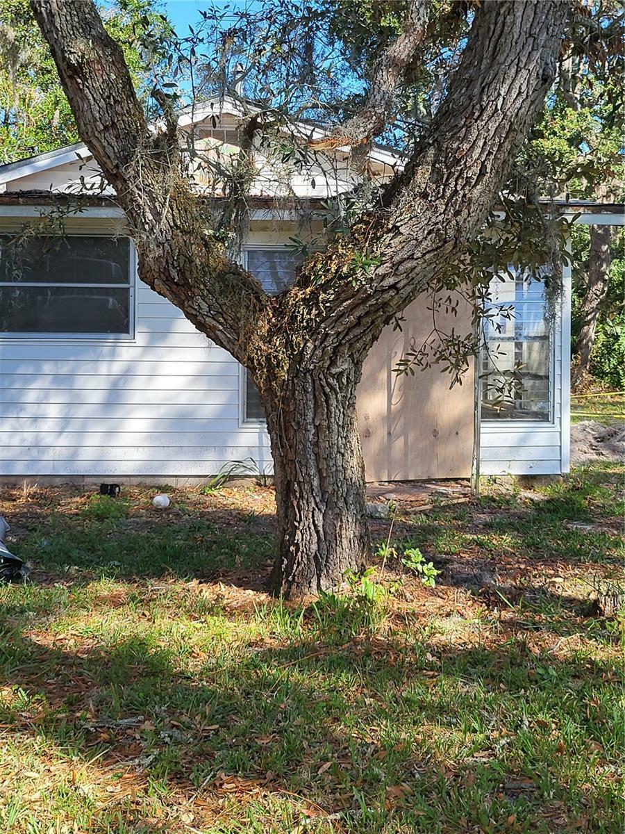 Property Photo: 9305 Kiowa Dr FL 34654