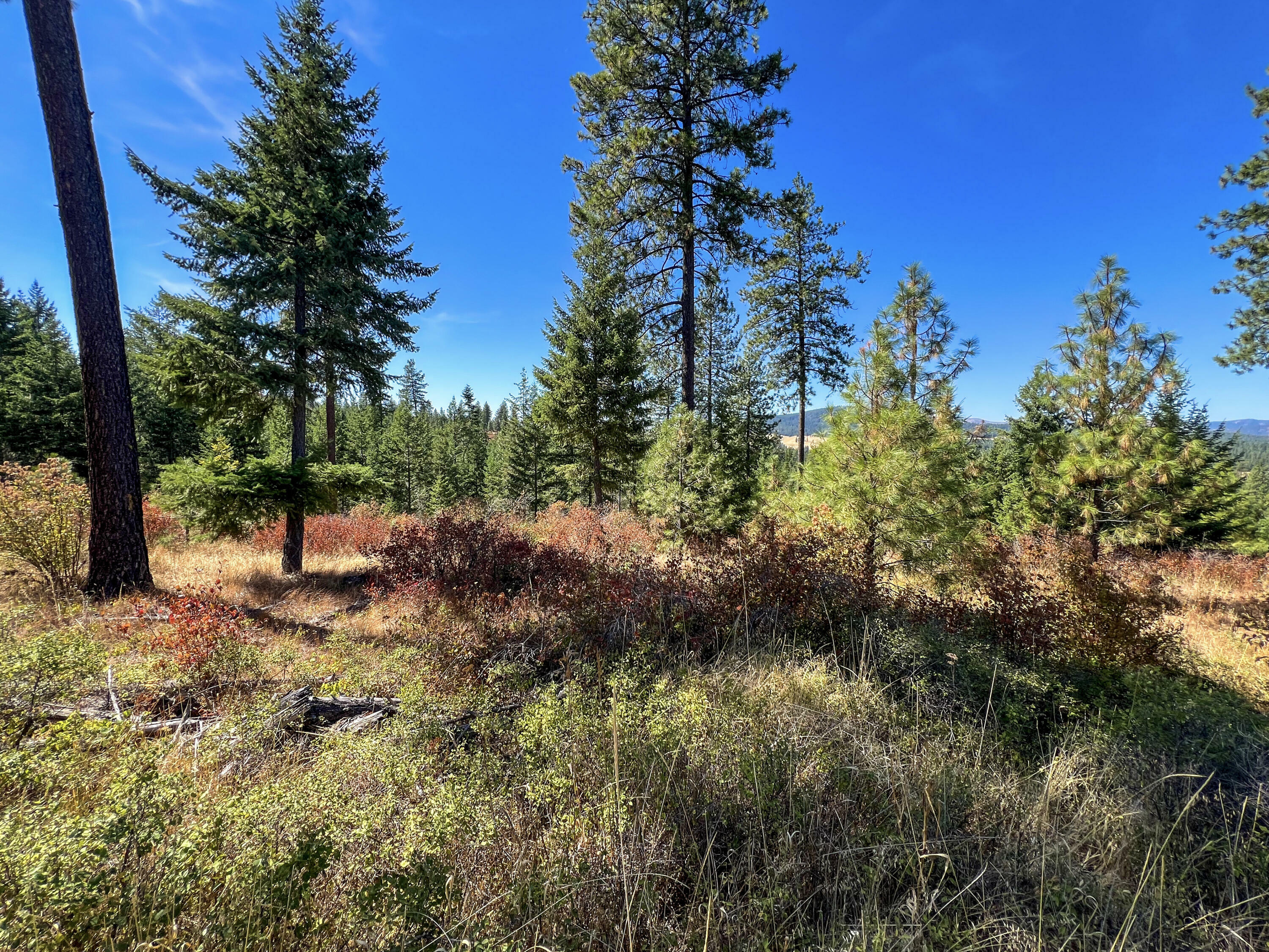 Property Photo:  52xx Lot 6 S Swenson Rd  WA 99006 