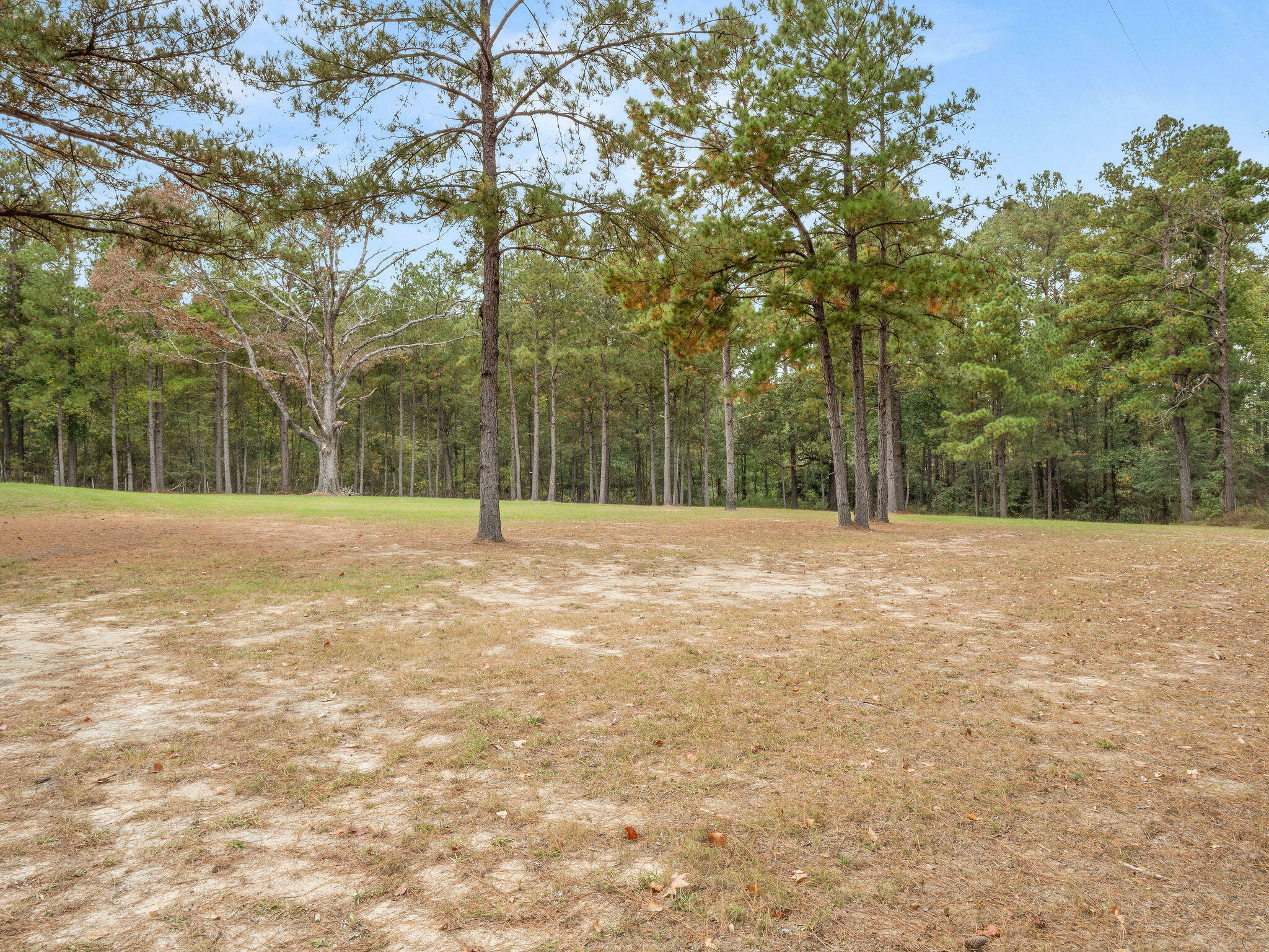 Property Photo:  296 N Fort Rd  LA 71446 