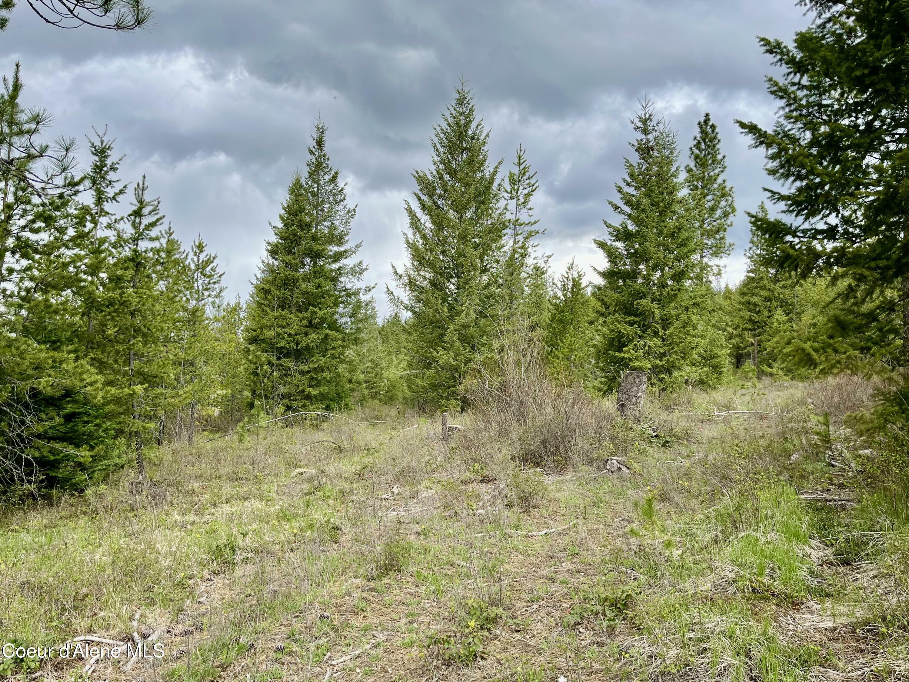 Property Photo:  12ac Elizabeth Ln  ID 83801 