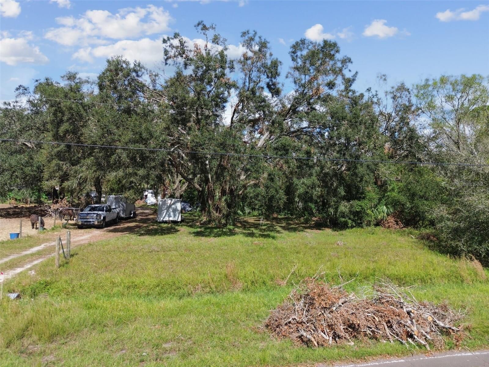 Property Photo: 1619 Butch Cassidy Trail FL 33598