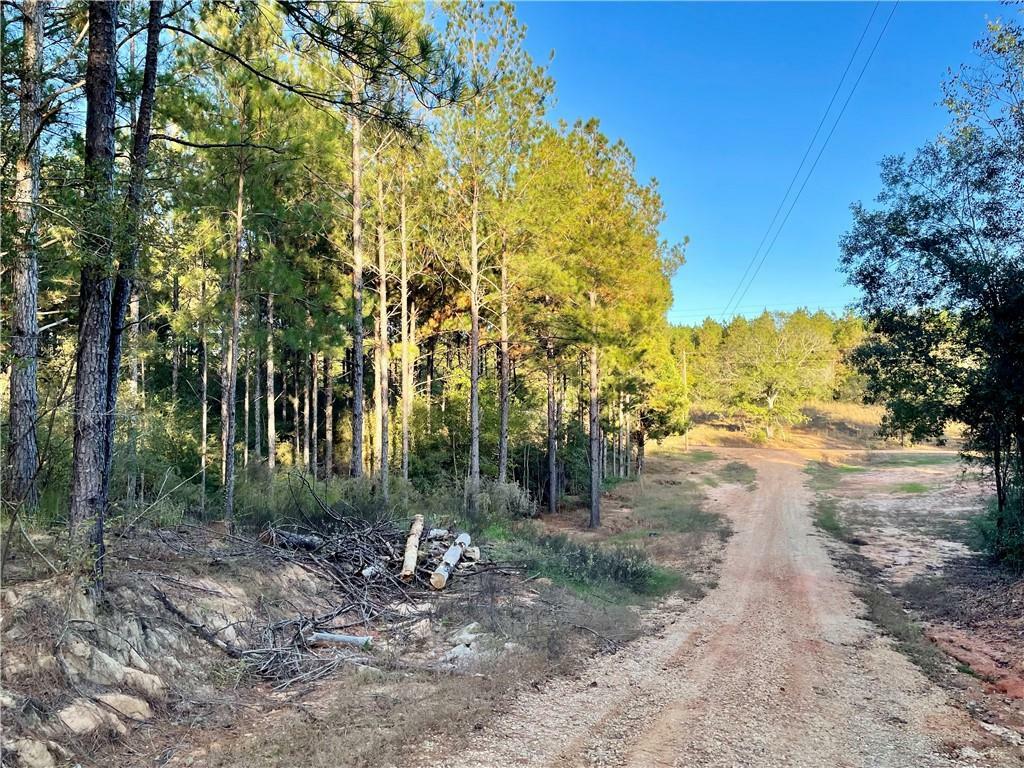 Property Photo:  Fire Fox Road  MS 39470 