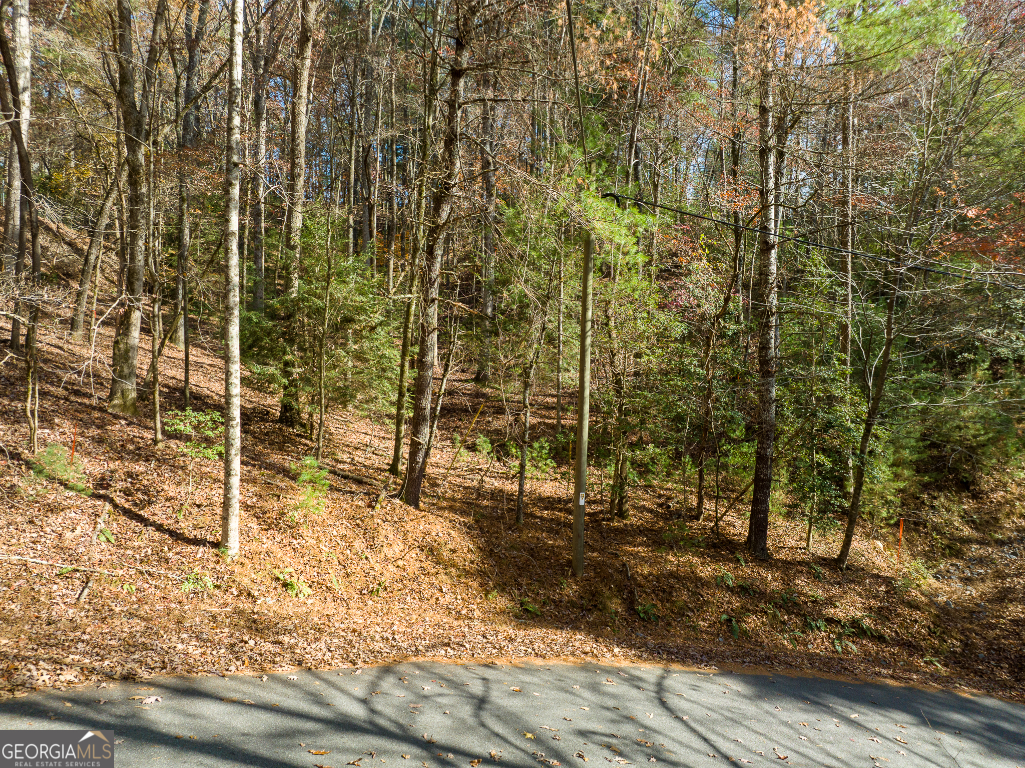 Property Photo:  0 Lookiba Lot 7  GA 30540 