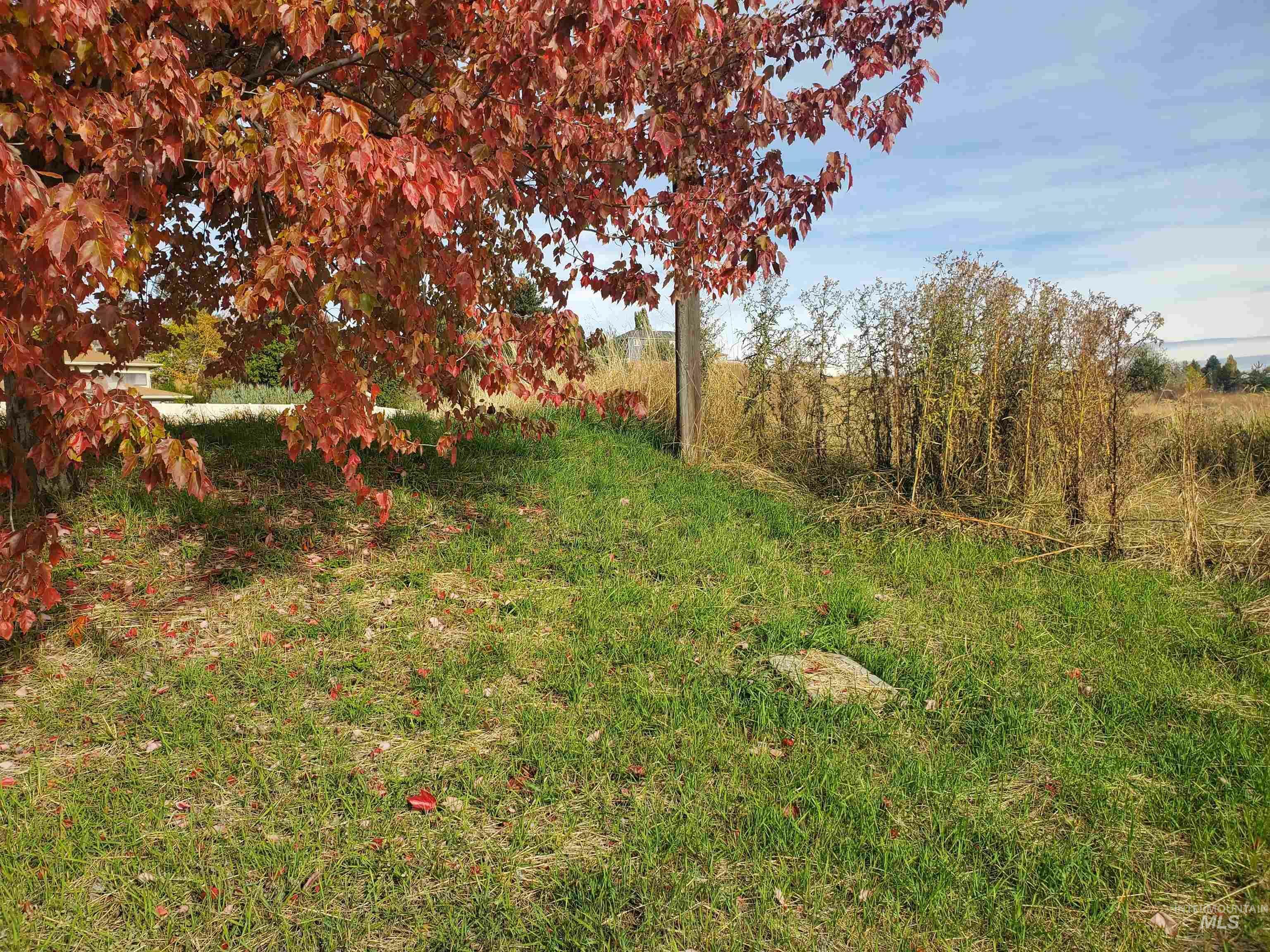 Property Photo:  502 W Palouse River Drive  ID 83843 