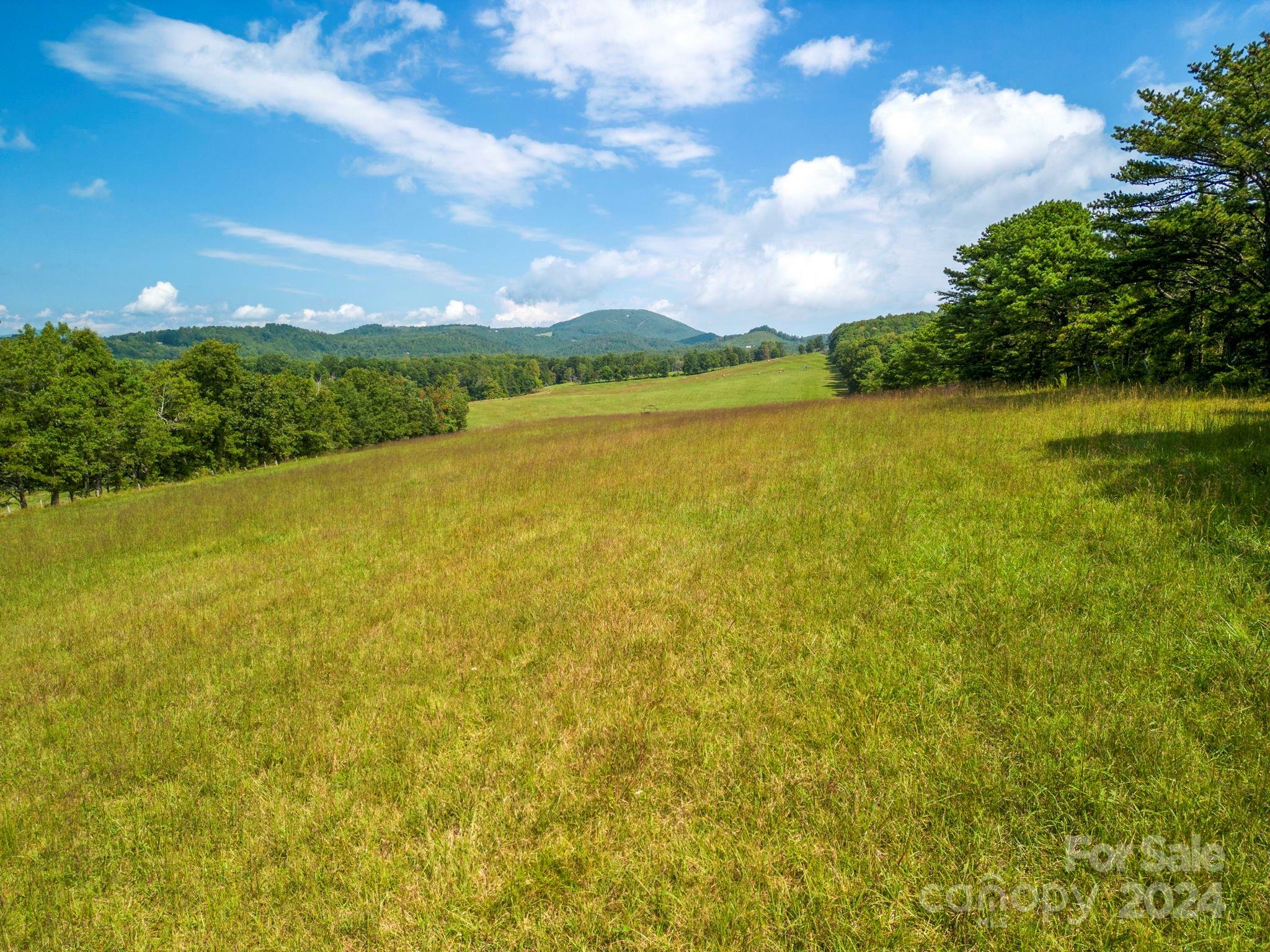 Property Photo: Tbd Summer Road NC 28792