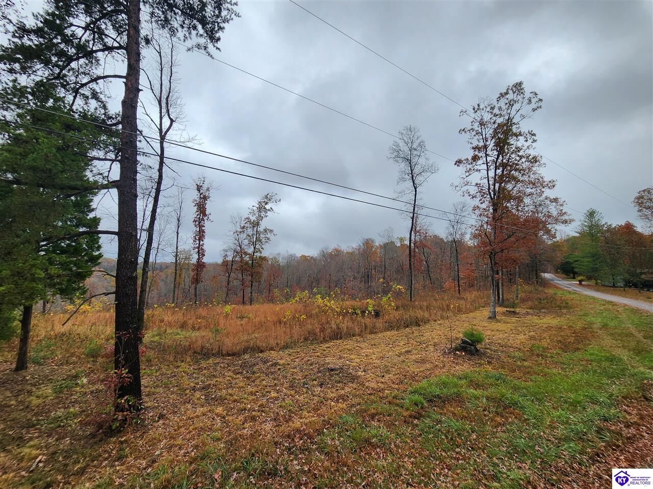Property Photo: Lot 15 Myers Lane KY 42701