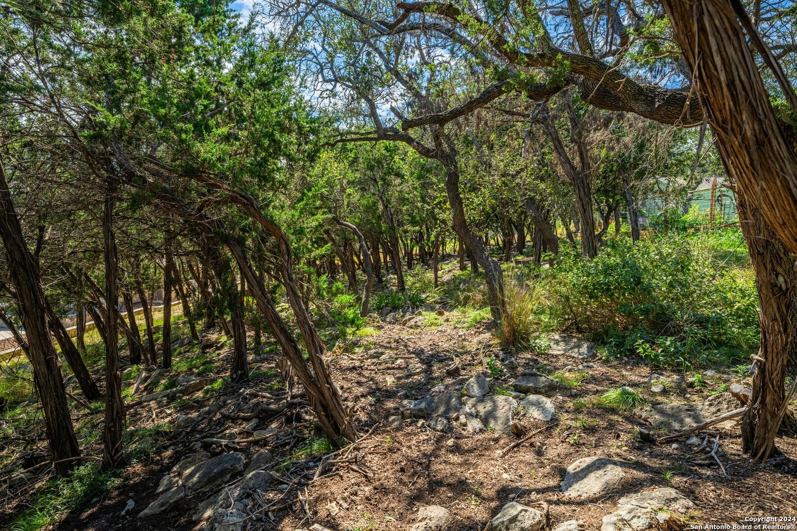 Property Photo:  Lot 16 Homer Dr  TX 78028 