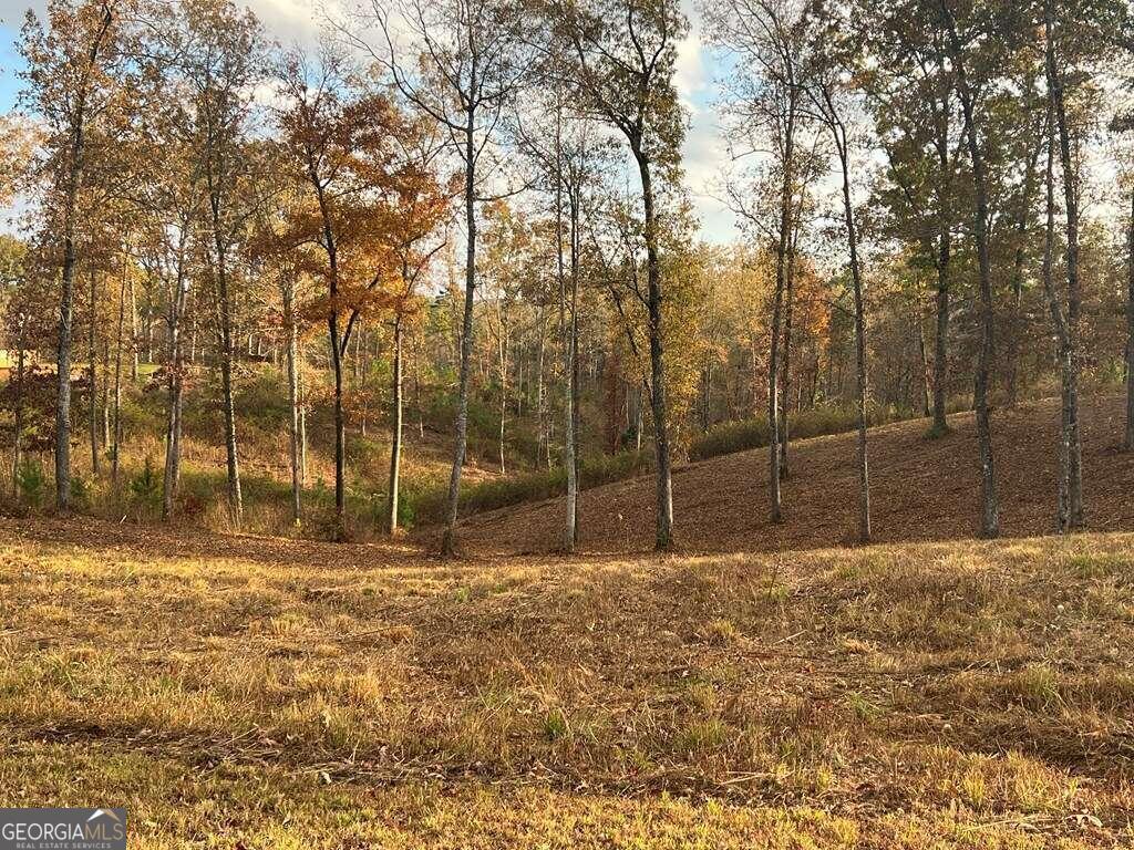 Property Photo: Lot 104 High River Road 104 GA 30540