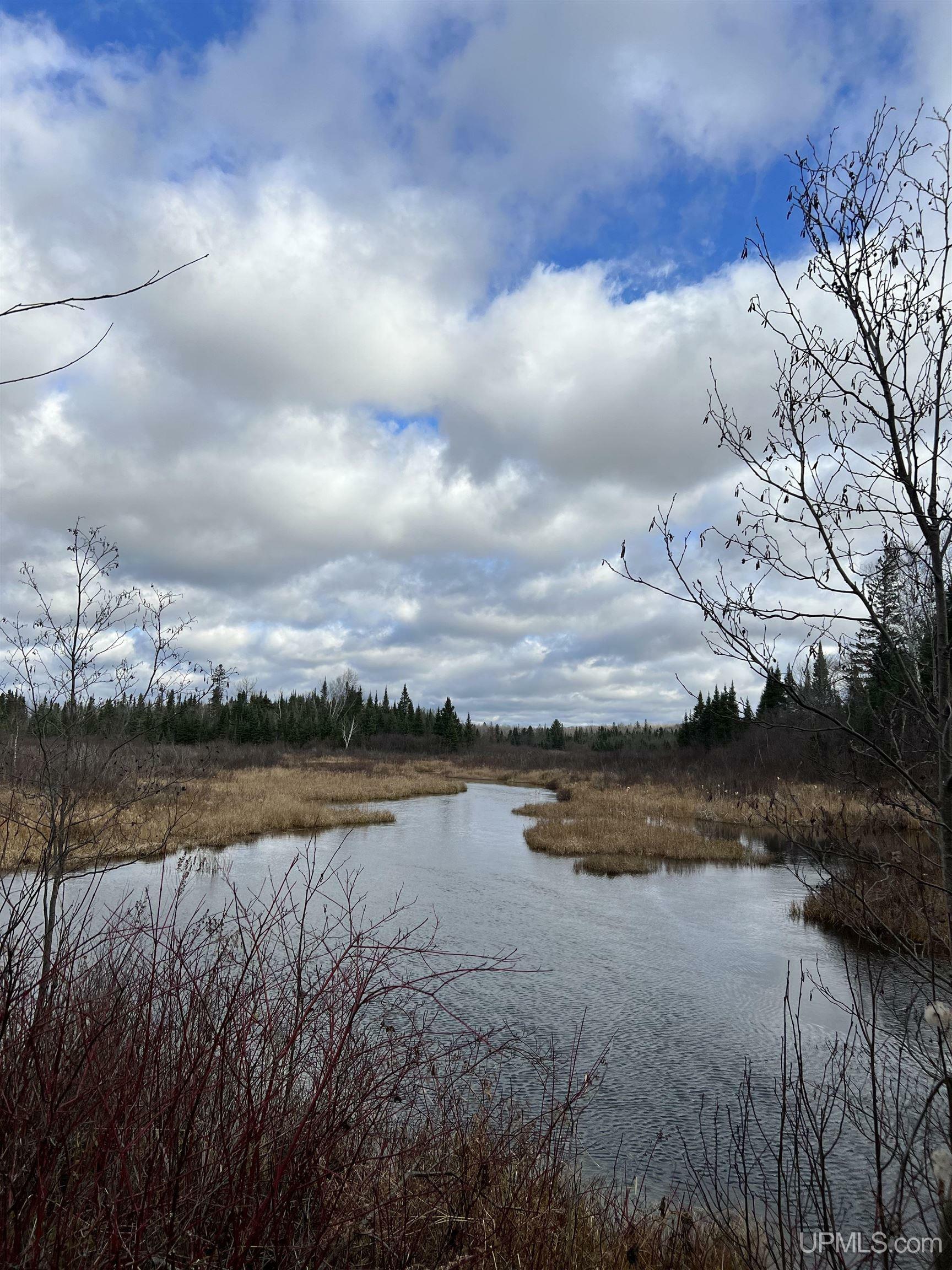 Property Photo:  Tbd Deer Lake Road Road  MI 49920 