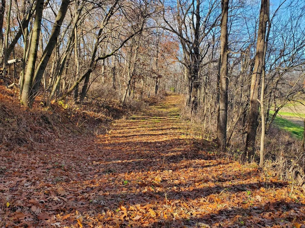 Property Photo:  117 +/- Acres Gilman Road  WI 54628 