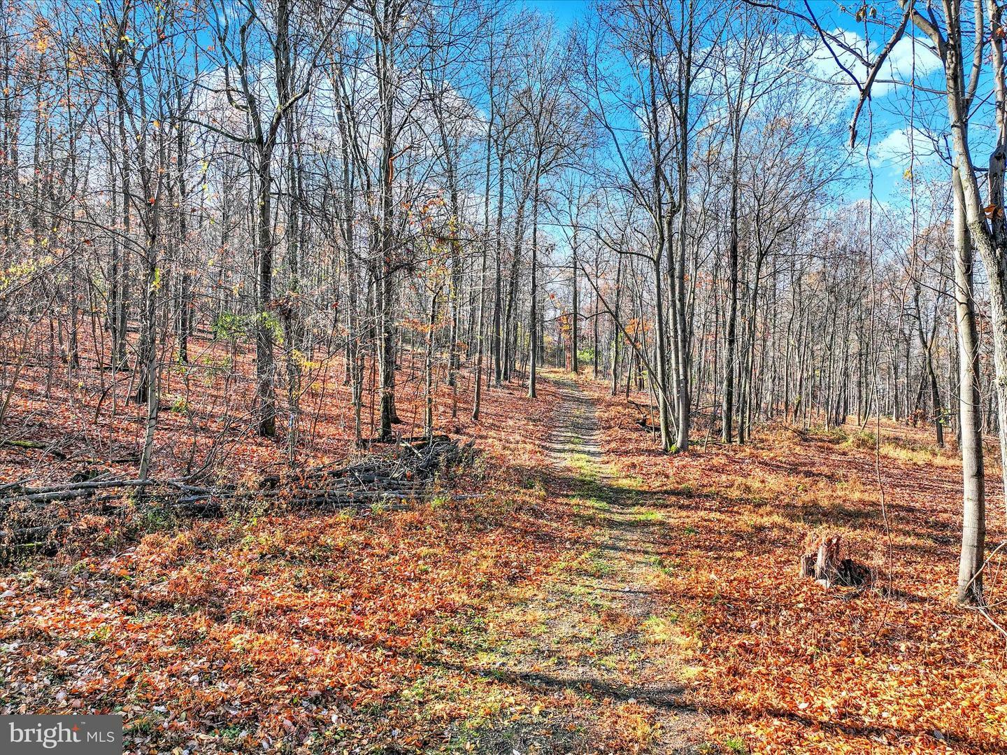 Property Photo:  Lot Big Oak Road  PA 17019 