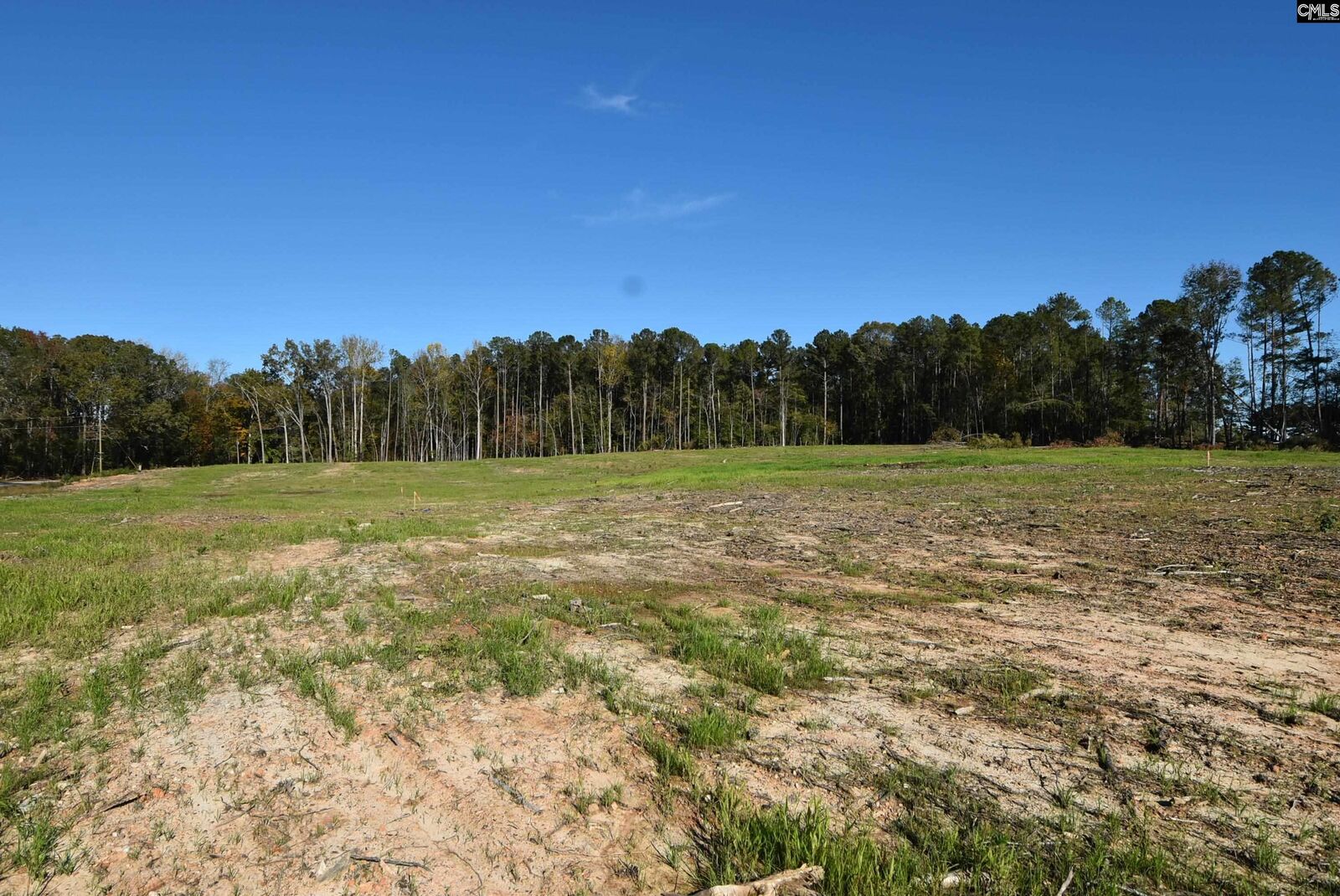 Property Photo:  Lot 1 Gold Nugget  SC 29127 