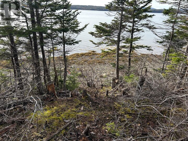 Property Photo:  Smith Sound Road  NL A5A 3A1 