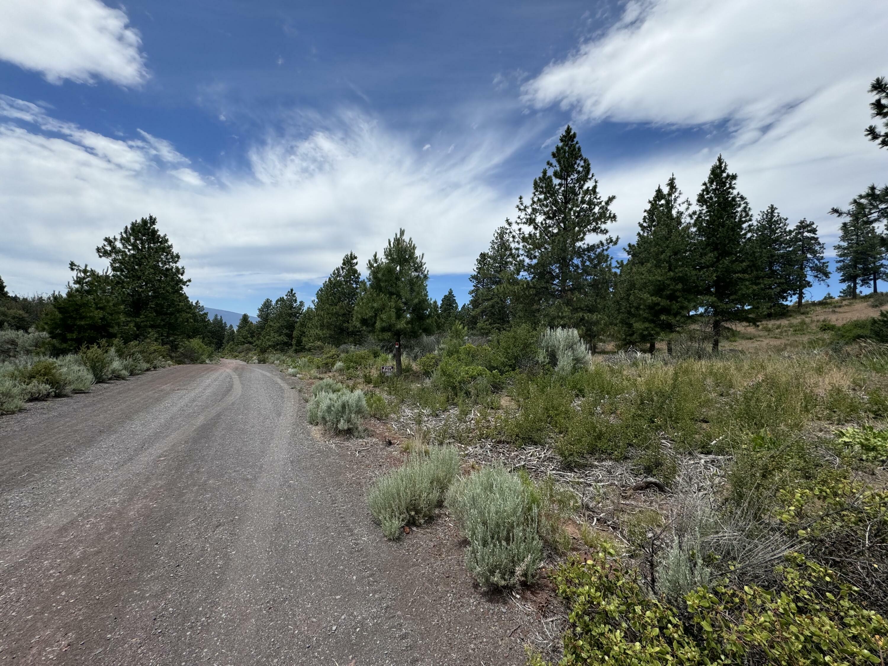 Property Photo:  Legget Drive Lot 24  OR 97624 