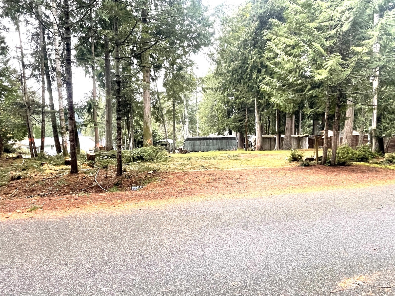 Property Photo:  331 E Eastlake Drive  WA 98584 