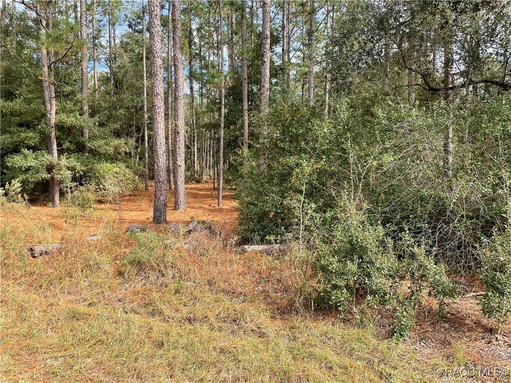 Property Photo:  0 59th Lane  FL 34431 